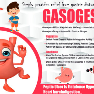 Gasogest