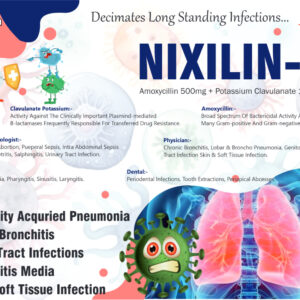 Nixilin CV