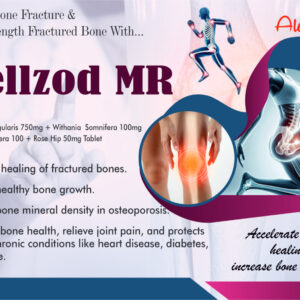 Wellzod MR